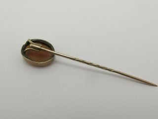 Vintage 9k 9ct 375 Gold & Carved Shell Stick Pin 4