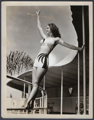 Frances Rafferty Tall Actress Vintage Orig Photo Busty Leggy Swimsuit Cheesecake