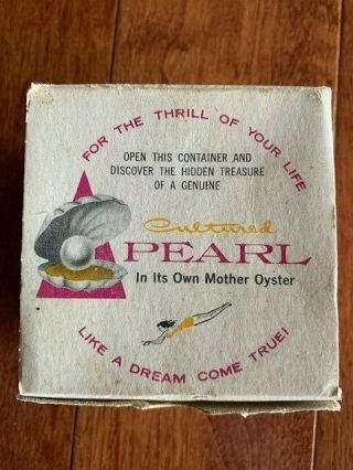 Vintage Cultured Pearl In Mother Oyster - Truly Unique - One Of A Kind - Japan