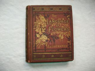 The Language Of Flowers; Victorian Illustrated Book; English 1880 