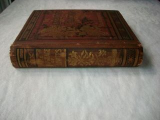 The Language of Flowers; Victorian illustrated book; English 1880 ' s 2
