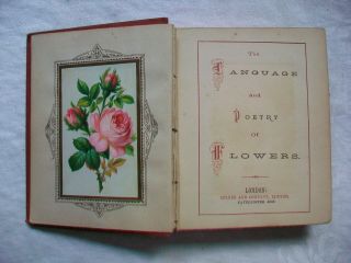 The Language of Flowers; Victorian illustrated book; English 1880 ' s 5
