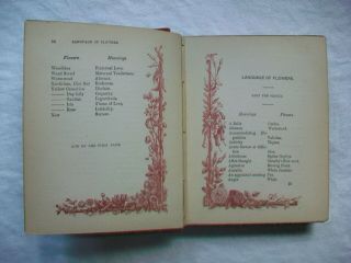 The Language of Flowers; Victorian illustrated book; English 1880 ' s 7