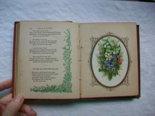 The Language of Flowers; Victorian illustrated book; English 1880 ' s 8