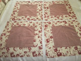 Vtg? Set Of 4 Red Apple Gingham Cottage Chic 20 " Square Cotton Place Mats
