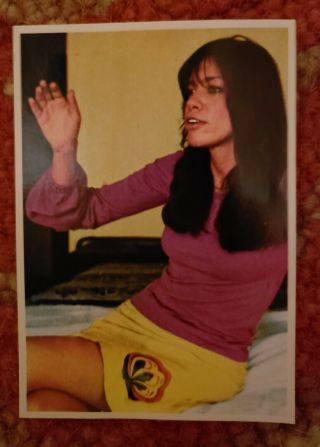 Vtg 70s Rare Carly Simon Picture Pop 