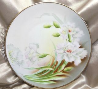 P T Bavaria Vintage Porcelain Plate Hand Painted White Floral signed Rameau 2