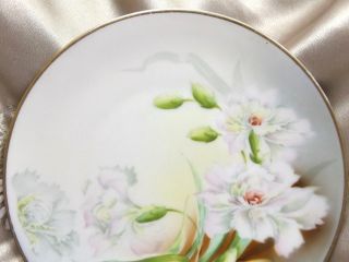 P T Bavaria Vintage Porcelain Plate Hand Painted White Floral signed Rameau 3