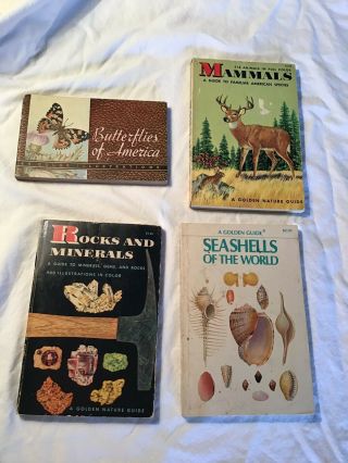 4 Vintage Golden Guide Books Seashells Rocks And Minerals Mammals Butterflies