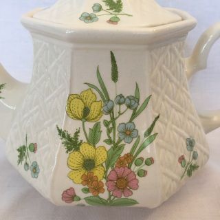 Vintage Sadler England Teapot Yellow,  Blue,  Pink Flowers Octagon Trellis 2