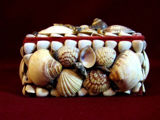 Vintage Seashell Art Jewelry / Trinket Box Red Velvet Lined 7 