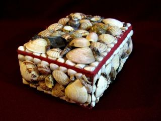 Vintage Seashell Art Jewelry / Trinket Box Red Velvet Lined 7 
