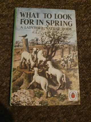 Vintage Ladybird Series 536 What To Look For In Spring 2 