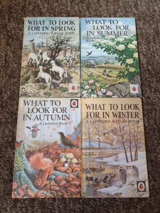 Vintage Ladybird Series 536 What To Look For In.  All 4 Books