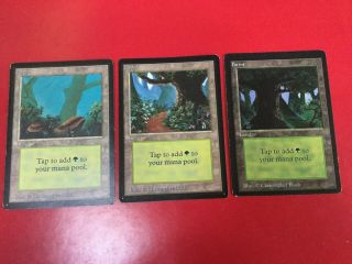 Mtg Beta Forest Set Of Three Old School 93/94 Vintage Cards