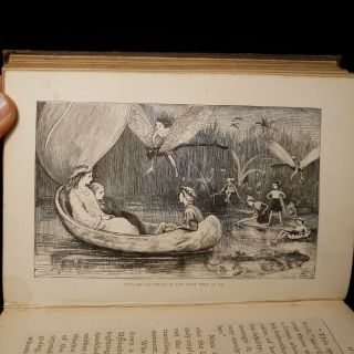 1875 FAIRY GUARDIANS Willoughby ILLUSTRATIONS Plates FANTASY Journey ADVENTURE 11