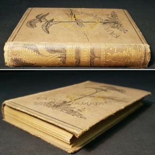 1875 FAIRY GUARDIANS Willoughby ILLUSTRATIONS Plates FANTASY Journey ADVENTURE 2