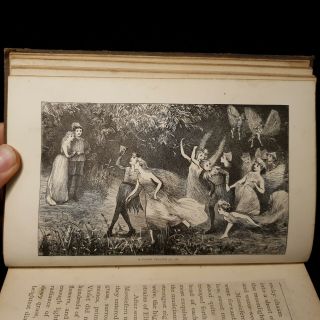 1875 FAIRY GUARDIANS Willoughby ILLUSTRATIONS Plates FANTASY Journey ADVENTURE 7