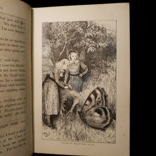 1875 FAIRY GUARDIANS Willoughby ILLUSTRATIONS Plates FANTASY Journey ADVENTURE 9