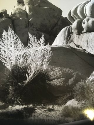 Vintage Nature Photo: Boulders,  Possibly Topanga Canyon area,  8x10,  circa 1980 2