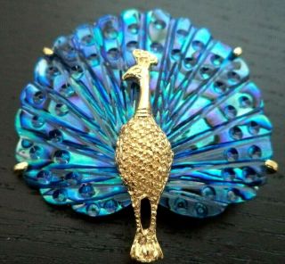 Rare Stunning Vintage Estate Signed Abalone Peacock Bird 1 3/4 " Brooch G751p