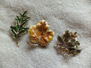 Vintage Costume Jewelry Exquisite Enamel Leaf Brooches X3