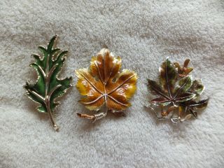 Vintage Costume Jewelry Exquisite Enamel Leaf Brooches x3 2