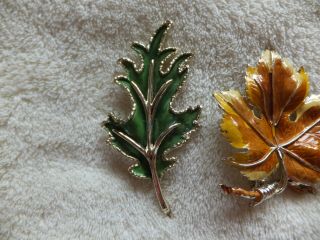 Vintage Costume Jewelry Exquisite Enamel Leaf Brooches x3 3