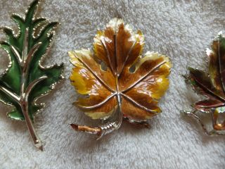 Vintage Costume Jewelry Exquisite Enamel Leaf Brooches x3 4