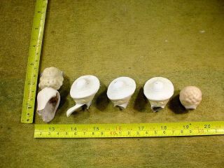 5 x excavated vintage victorian painted bisque doll Head Hertwig age 1890 13248 3