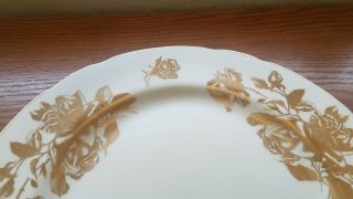 4 pc Set Vintage Hammersley Rose Gold Roses Bone China Dinner Plates England 5