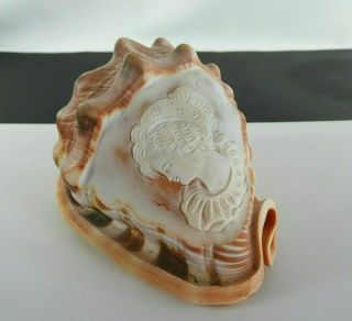Vintage Style Hand Carved Cameo Shell Helmet Conch Artisan Lady Large