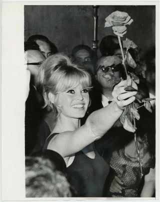 French Bombshell Brigitte Bardot Holds Rose Vintage 1963 Candid Press Photograph
