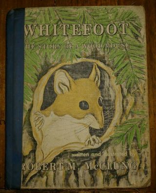 Whitefoot The Story Of A Wood Mouse By Robert M.  Mcclung 1961 Hc Ex - Lib Book