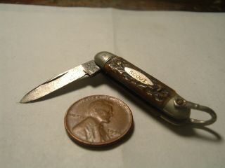 Vintage A W Wadsworth & Son Scout Mini Pocket Knife Germany Bone Handle 1 1/2 In