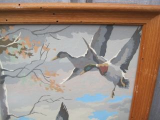 Large Vintage Paint By Number Painting - Ducks Landing On The Water B9005 2