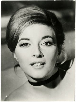 Bond Girl Daniela Bianchi From Russia With Love 1963 Vintage Photograph