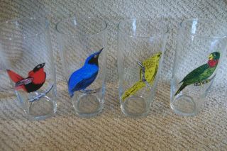 Vintage Drinking Glasses Blue Bird Red Bird Green Parrot Yellow Parrot