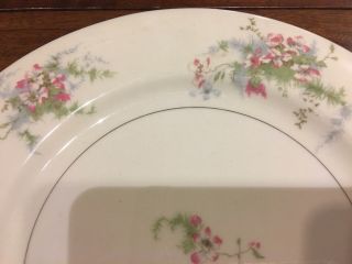 VINTAGE THEODORE HAVILAND York Porcelain APPLE BLOSSOM DINNER Plates 2