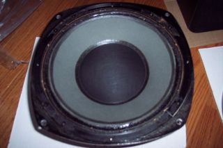 Tannoy 10 " Monitor With Crossover Single