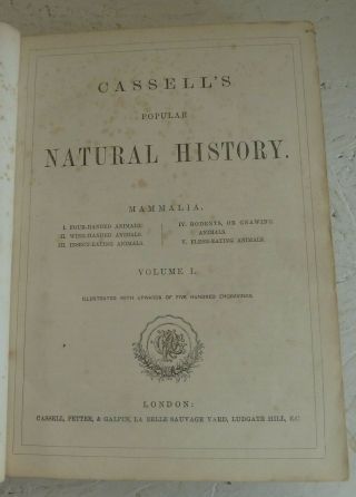 Vintage Book Set Cassell ' s Natural History (4 Vols in 2 Books) Illustrated 5