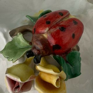 Vintage Italian Pottery White Porcelain Dish Red Ladybug Rose Flowers
