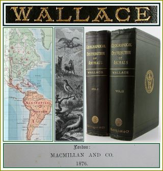 1876 Alfred Russel Wallace Geographical Distribution Of Animals 1st Edition/maps
