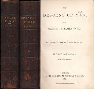 The Descent Of Man Charles Darwin (origin Of Species) Evolution 1st Ed 1871
