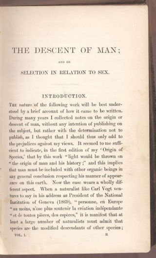 The Descent of Man Charles Darwin (Origin of Species) Evolution 1st Ed 1871 5