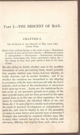 The Descent of Man Charles Darwin (Origin of Species) Evolution 1st Ed 1871 7