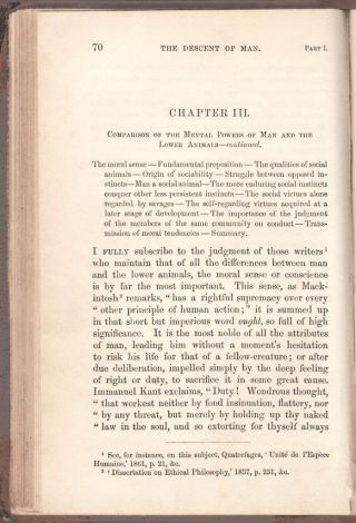 The Descent of Man Charles Darwin (Origin of Species) Evolution 1st Ed 1871 8