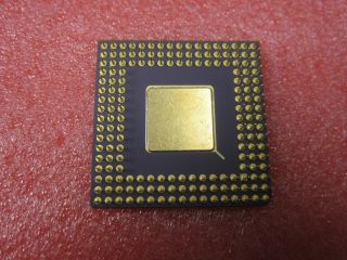Vintage Rare AMD Am486 DX2 - 80 A80486DX2 - 80NV8T PGA168 Gold CPU Processor 2