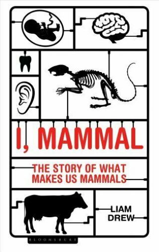 I,  Mammal The Story Of What Makes Us Mammals By Liam Drew 9781472922915