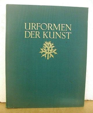 Urformen Der Kunst Photographische Pflanzenbilder Von Professor Karl Blossfeldt